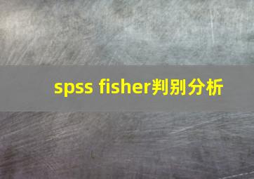 spss fisher判别分析